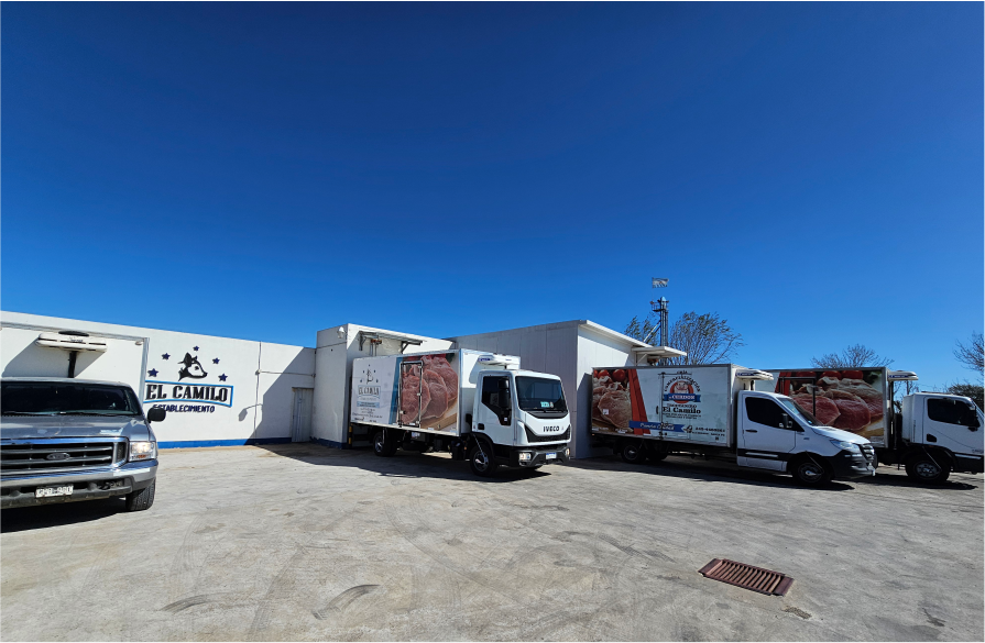 SEGUROS DE TRANSPORTE Y CARGA